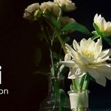 Event Domodi – Autumn Session 2019. Cykl spotkań o kobietach i dla kobiet