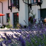 Szwajcaria Mazurska. Noclegi || Wyżywienie (3)