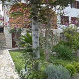 Apartmanok A Tenger Mellett Mali Losinj, Losinj - 14844 Mali Lošinj (4)