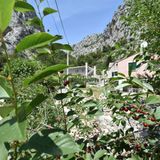 Apartment Petea Omis (4)