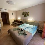 Bambusz Apartman Gyula (2)