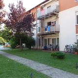 Aranypart Medencés Apartman Siófok (4)