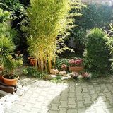 Penzion Exotic Ostrava (4)