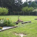 Csóka Apartman Pápa (2)