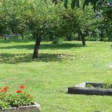 Csóka Apartman Pápa (3)