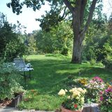 Samoniówka Nałęczów (4)