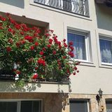 Tavirózsa Apartman Balatonfűzfő (4)