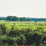 Żwirowa Góra Domki nad Narwią Tykocin (5)