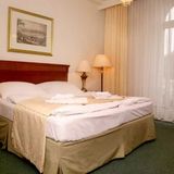 Hotel Romania Karlovy Vary (5)