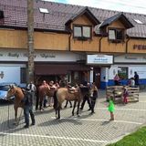 Penzion u Holuba Hradčovice (4)