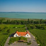 Vitis Kúria Balatonrendes (2)