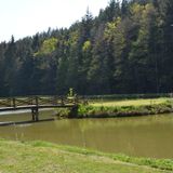 Sonnenhof Hotel & Étterem Litschau (2)