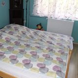 Virágoskert Apartman Siófok (3)