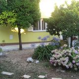 Apartmanok A Tenger Mellett Orebic, Peljesac - 16448 Orebić (5)