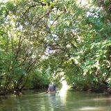 Tisza-tavi Amúrlak Poroszló (5)