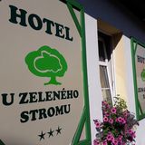 Hotel U Zeleného stromu Janov (3)