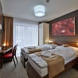 Hotel Alexander Bardejovské Kúpele (2)