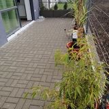 Green-leaf Apartman Eger (3)