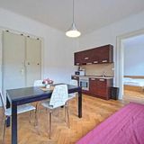 Vincent Apartment Praha (3)
