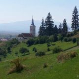 Casa de oaspeți Elvira Lăzarea (4)