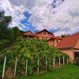 Casa de oaspeţi Adam Sighișoara (2)