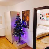 Apartament Ambient București (4)