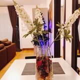 Apartament Ambient București (3)