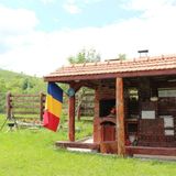 Casa Ollie Hobița (5)