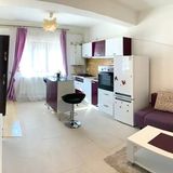 Purple Luxury Apartment Iași (4)