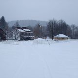 Cabana La noi în Bucovina Vama (4)