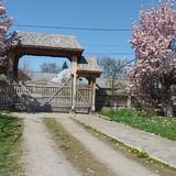 Pensiunea Magnolia de Maramureș Tisa (4)