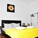 Apartament 4Freedom Central Flat Brașov (5)