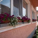 Gréta Apartman Balatonlelle (4)