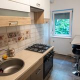 Apartament D&O Odobescu Timișoara (4)