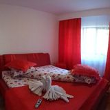 Apartament Anduțu Bușteni (3)