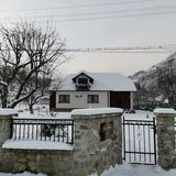 Pensiunea Chalet Bora Vișeu de Jos (2)