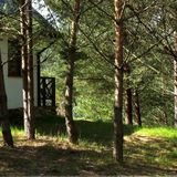 Domek w Sosnowym Lesie - Sauna (3)