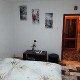 Apartament Irina Vaslui (2)