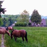 Dom na Krzemienicy Izdebki (4)