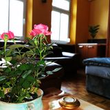 Lehel Apartman Keszthely (5)