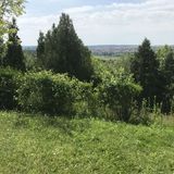 Panorama + Naturistencamping Cserszegtomaj (5)