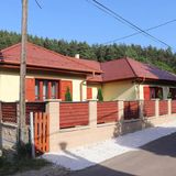 Forest Luxury Apartman Dorogháza (5)