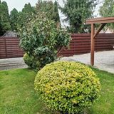 Bike Apartman Keszthely (3)