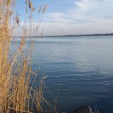 Pipitér Faház Balatonfűzfő (2)