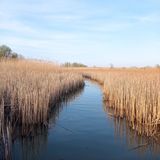 Tisza Vendégház Tiszabábolna (5)