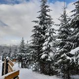 Casa de vacanță Andilak Sântimbru-Băi (2)