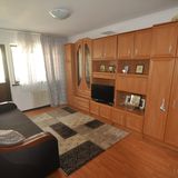 Apartament Ana Constanța (2)