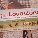 Lívia Vendégház Őriszentpéter (5)