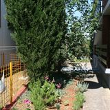 Apartmanok A Tenger Mellett Starigrad, Paklenica - 6580 Starigrad (5)