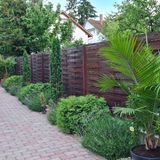 Villa Tropic Apartman Siófok (4)